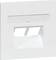 Biała podtynkowa puszka instalacyjna z dwoma gniazdami sieciowymi RJ45, prostokątna, przeznaczona do montażu ściennego, wygląda na nieużywaną i zamontowaną.
