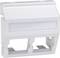 Biały, prostokątny moduł z tworzywa sztucznego z dwoma dolnymi szczerbinami, przeznaczony do instalacji sieciowych lub elektrycznych.