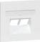 Biała sieciowa puszka przyłączeniowa z dwoma otworami na porty Ethernet, odpowiednia do wbudowania w ściany, bez kabli.
