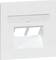 Biała naścienna puszka przyłączeniowa z dwoma otworami na kable sieciowe, o kwadratowym kształcie, prosty design.