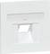 Biała sieciowa wtyczka naścienna z prostokątnym gniazdem do podłączenia wtyczki sieciowej, nadająca się do montażu ściennego.