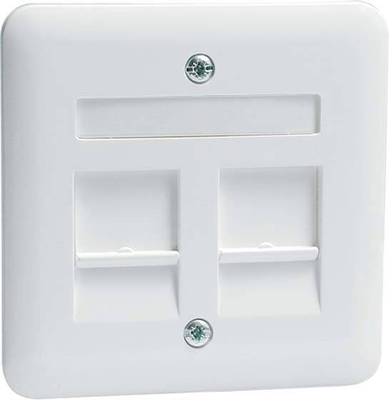 Białe, montowane na ścianie pole przyłączeniowe sieci z dwoma gniazdami Ethernet, o prostokątnym kształcie, z mocowaniami śrubowymi w górnych narożnikach.
