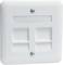 Białe, montowane na ścianie pole przyłączeniowe sieci z dwoma gniazdami Ethernet, o prostokątnym kształcie, z mocowaniami śrubowymi w górnych narożnikach.