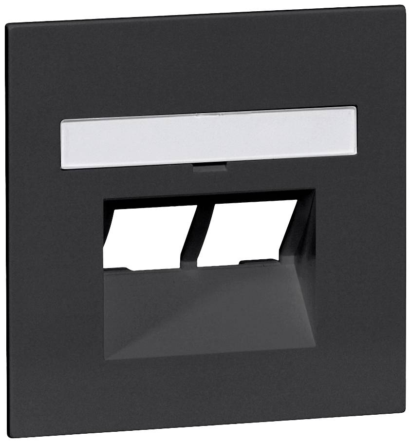 Czarna naścienna wtyczka elektryczna z miejscem na dwa gniazda Ethernet. Prostokątny kształt z srebrnym polem u góry. Idealna do podłączeń sieciowych.