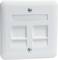 Dwuportowe gniazdo sieciowe w białej płytce z tworzywa sztucznego, z mocowaniem śrubowym.
