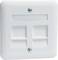 Biała, kwadratowa płytka maskująca gniazda z dwoma otworami i dwoma śrubami. Odpowiednia do podłączeń sieciowych lub multimedialnych.