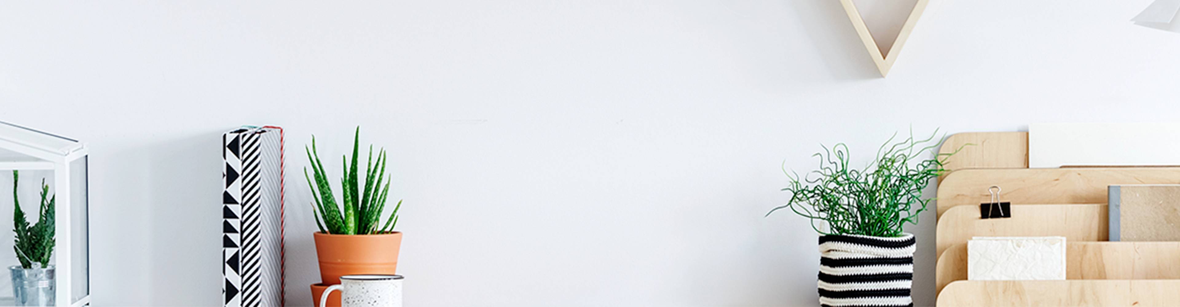 Rośliny na biurku obok segregatorów i papierów, dekoracyjnie ułożone na białym tle.