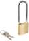 Metalowa otwarta kłódka z zestawem trzech kluczy obok niej. Kłódka prawdopodobnie jest solidna i niezawodna.