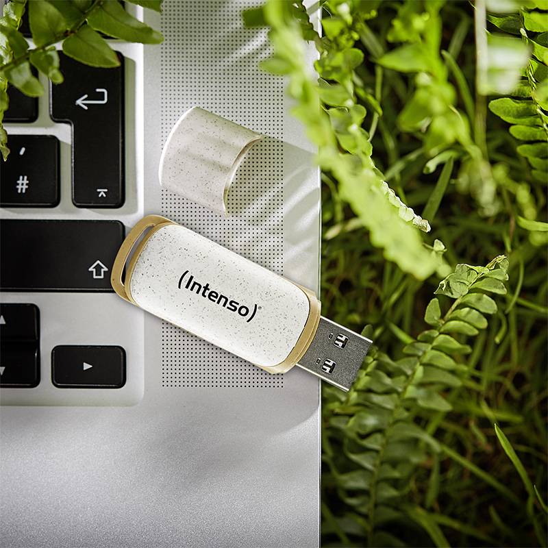 Pendrive marki 'Intenso' leży obok laptopa, otoczony roślinami. Pamięć USB ma beżową nasadkę i jest częściowo odkryta.