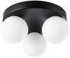 Lampa sufitowa Paulmann Gove 71069 czarny (matowy), satin