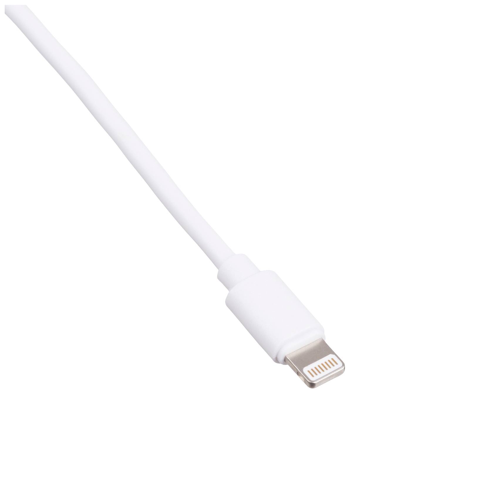 Białawy kabel USB z końcówką Lightning.