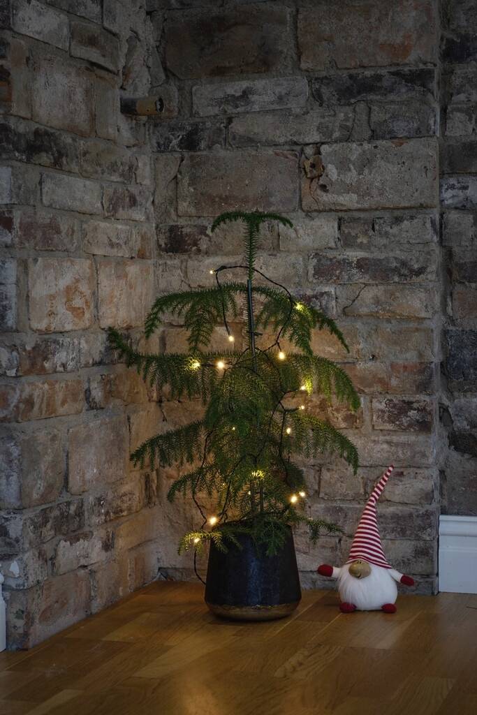 Ламповий ланцюг Konstsmide 1408-100 на батарейках, теплий білий