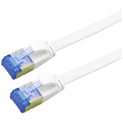 Dwa białe kable sieciowe z niebieskimi wtyczkami, ułożone obok siebie, symbolizują połączenia danych lub połączenie internetowe.