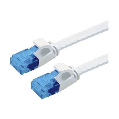 Dwa niebieskie wtyki Ethernet podłączone do białego kabla, używane do przesyłania danych w sieciach.