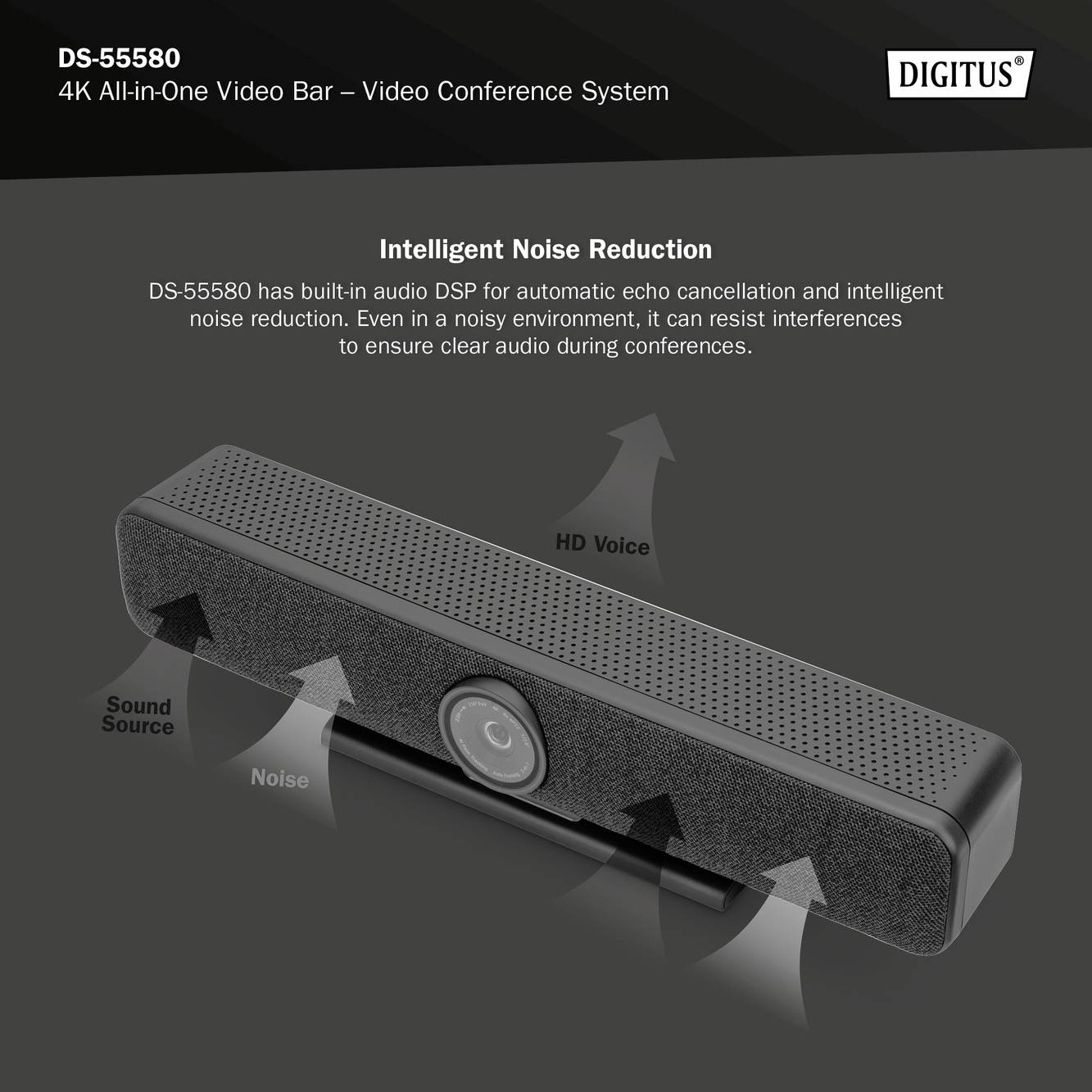 'DS-55580' Wielofunkcyjny pasek wideo 4K z redukcją szumów. Diagram przedstawia funkcje: 'Noise' przekształca się w 'HD Voice' oraz 'Źródło dźwięku'.