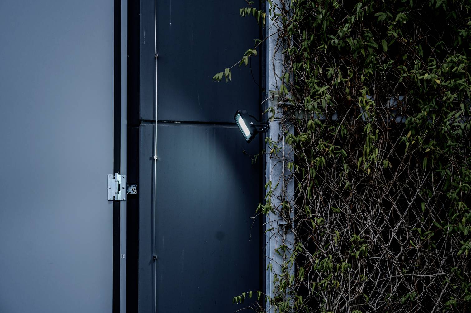 Nowoczesna przestrzeń ścienna z ciemnymi panelami i kinkietem; po prawej stronie gęste zielone listowie częściowo porasta ścianę.