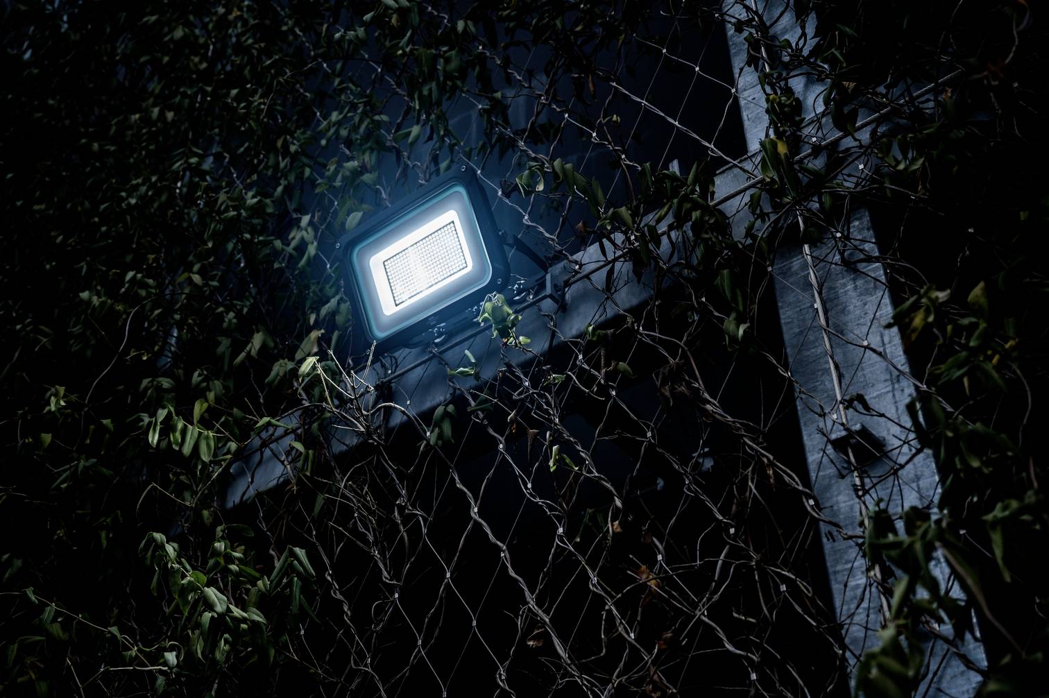 Jaskrawe światło reflektora pada na metalową kratę porośniętą bluszczem, która wypełnia tło i większą część obrazu.