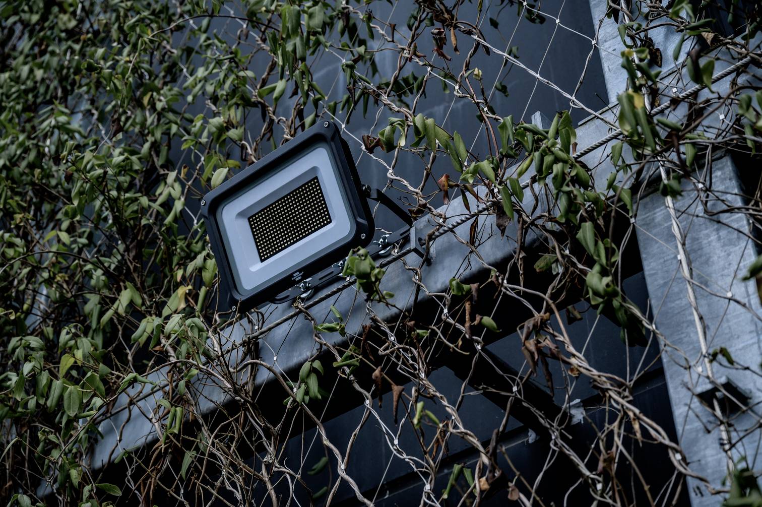 Reflektor jest zamontowany na siatce porośniętej pędami i roślinami pnącymi. W tle widać ciemną ścianę.