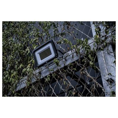 Mały zewnętrzny reflektor zamontowany na ścianie budynku, częściowo zakryty przez pnące rośliny.