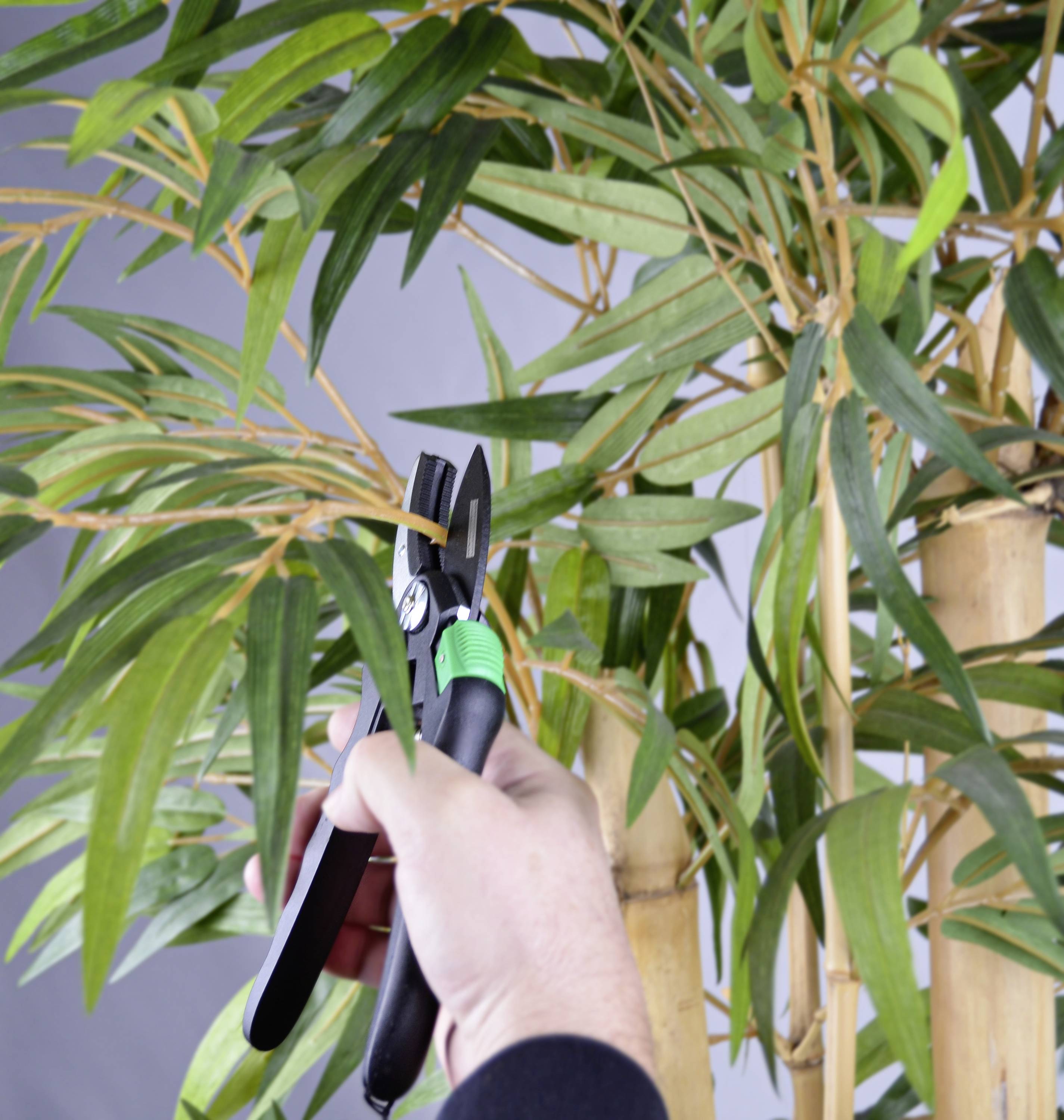 Dłoń przycina zielono-czarnymi nożyczkami liście rośliny o gęstej zielonej koronie.