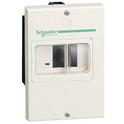 Beżowy wyłącznik ochronny marki Schneider Electric z dwoma dźwigniami przełączającymi do sterowania obwodami elektrycznymi w jednej obudowie.