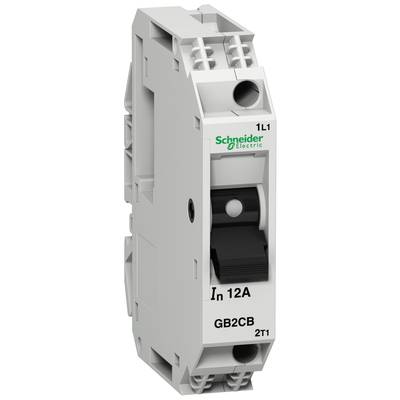 Biały wyłącznik nadprądowy z napisem 'Schneider Electric', oznaczony 'In 12A' oraz 'GB2CB'.