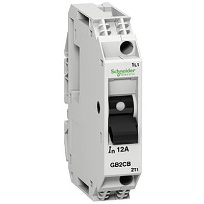 Biały wyłącznik nadprądowy Schneider Electric z czarnym przełącznikiem, oznaczony napisami 'In 12A' i 'GB2CB', na szynie montażowej.