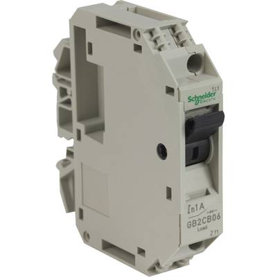 Szary wyłącznik nadprądowy firmy Schneider Electric z czarnym przełącznikiem kołyskowym, z napisem 'In1A GB2CB06 Load 21'.