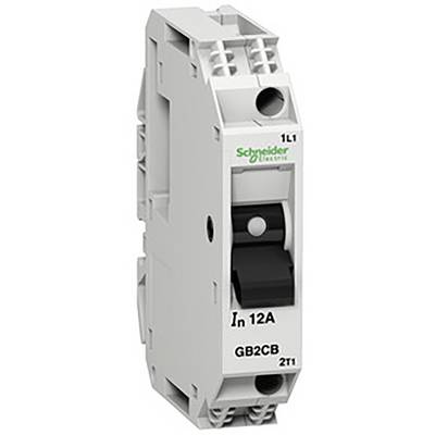 Wyłącznik nadprądowy firmy Schneider Electric w kolorze szarym, z oznaczeniem 'In 12A' oraz 'GB2CB', przedstawiający przedni przełącznik w pozycji wychylonej.