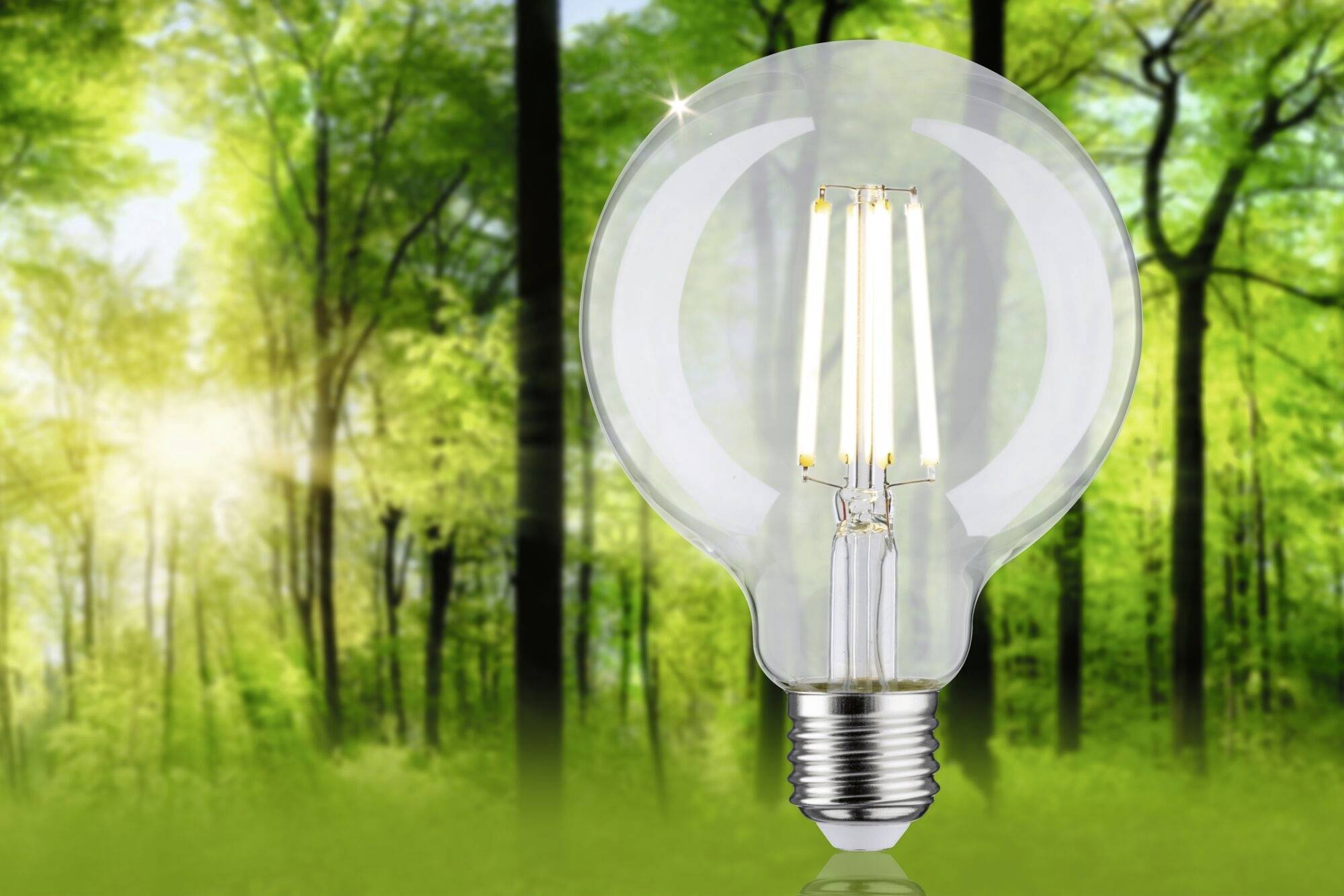 Świecąca żarówka na tle zielonego, zalesionego krajobrazu symbolizuje energię odnawialną i świadomość ekologiczną.