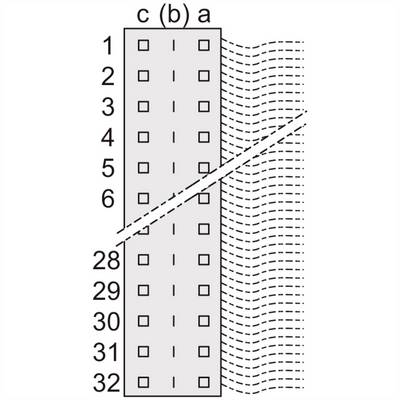 Diagram prostokątnego złącza z 32 stykami, podzielonymi na dwie rzędy. Oznaczony napisem 'c (b) a' u góry. Faliste linie po prawej stronie wskazują kierunki połączeń.