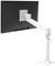 Monitor jest zamontowany na regulowanym, białym ramieniu, które umożliwia elastyczne pozycjonowanie. Monitor nie wyświetla żadnej treści.