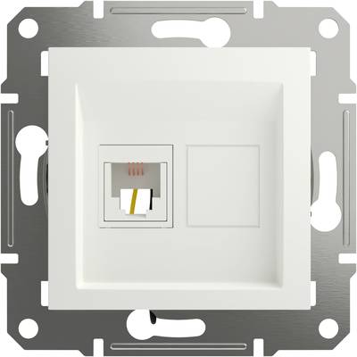 Biała gniazdo sieciowe z gniazdem RJ45 i pustym polem, zamontowane na płycie metalowej.