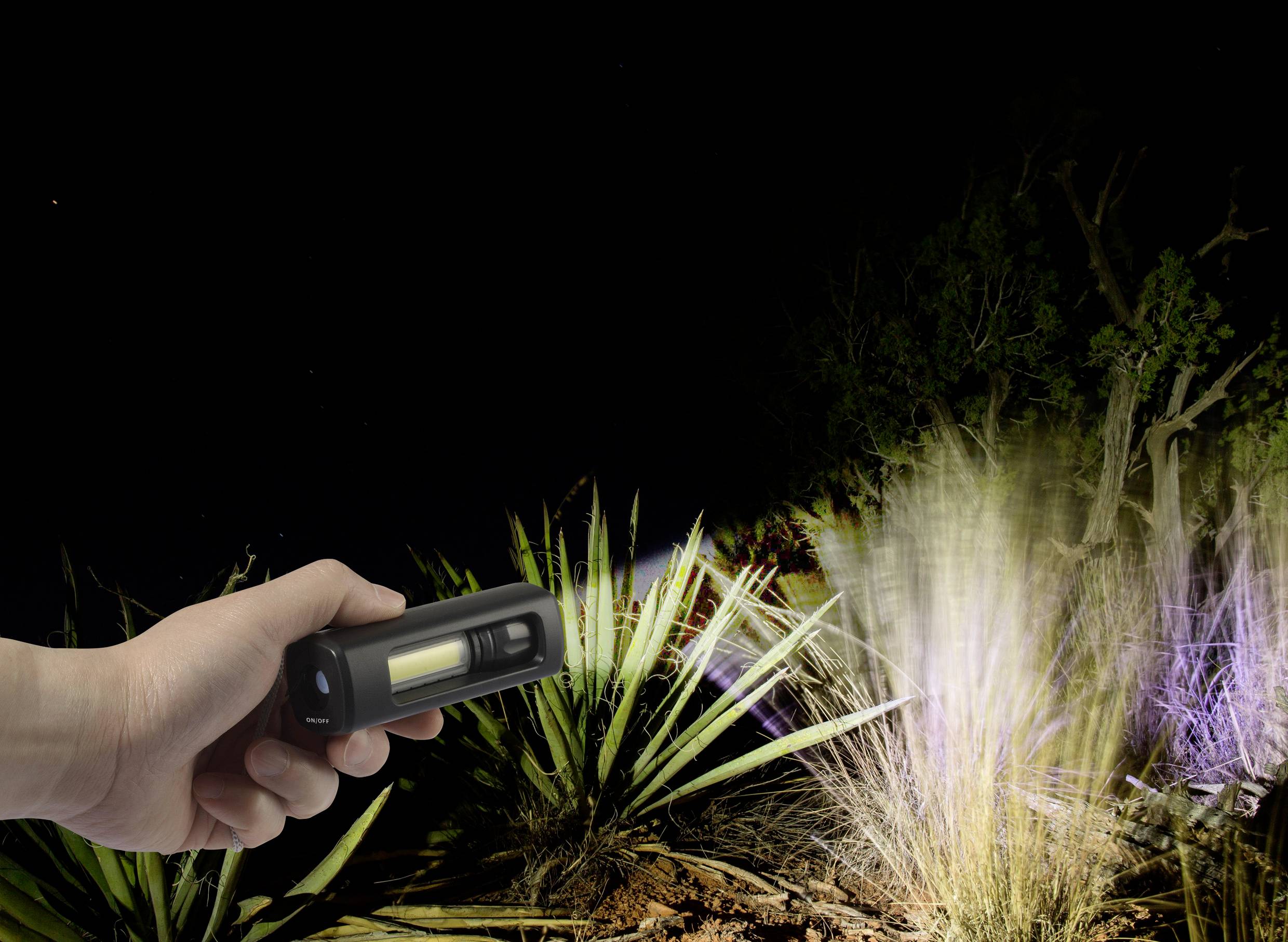 Osoba trzyma latarkę, oświetlając rośliny w ciemnym otoczeniu.
