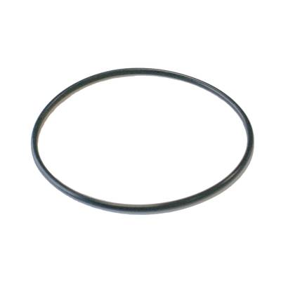 Czarny pierścień O-ring na białym tle.