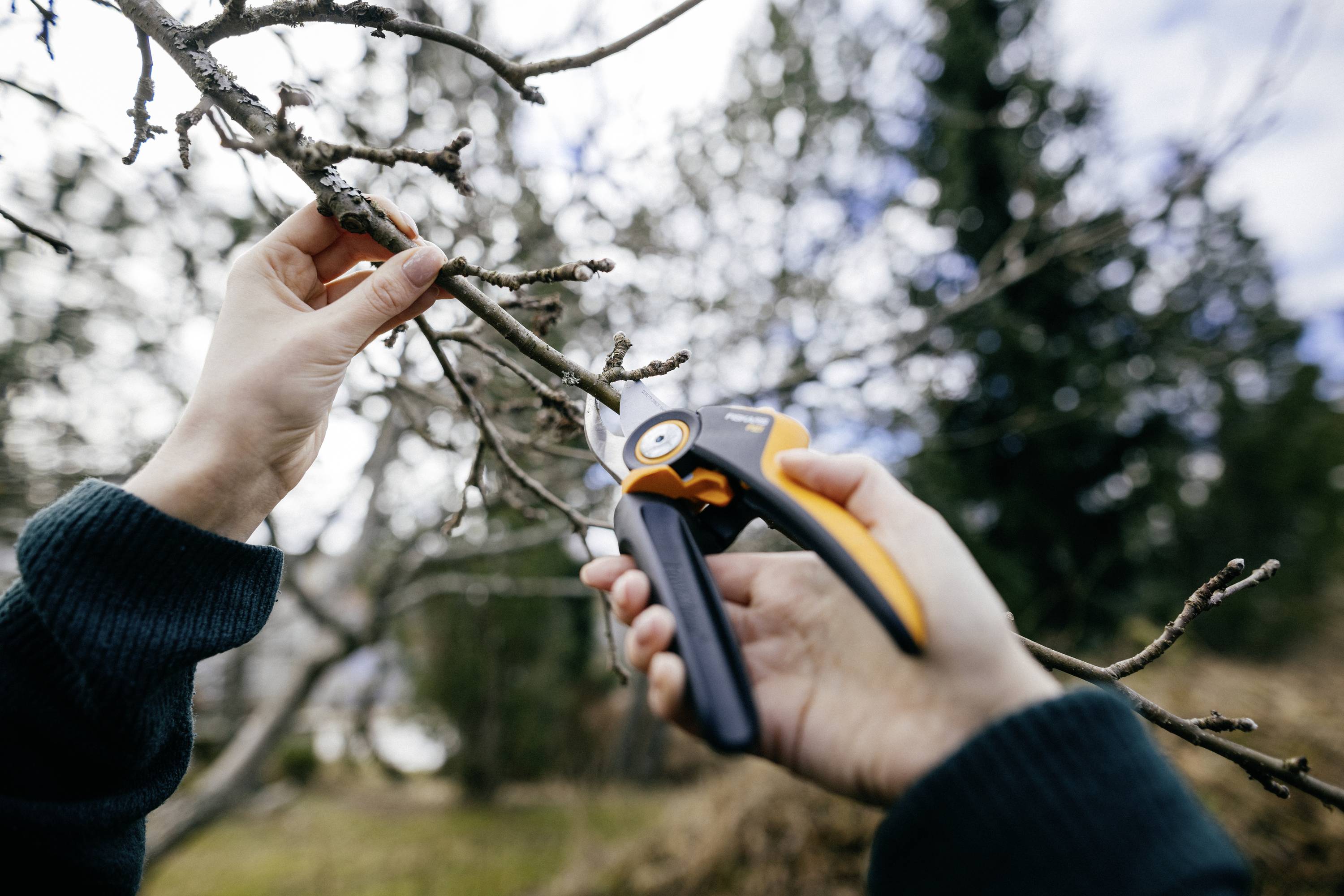 Садовий секатор Fiskars 1057173 X-series™ P921 201 мм
