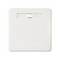 Kwadratowy, biały włącznik światła bez widocznych oznaczeń lub symboli. Przełącznik jest umieszczony centralnie w prostokątnym wycięciu.