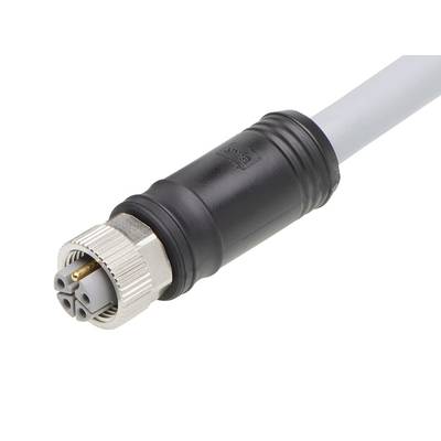 Złącze M12 z systemem styków 4-pinowych, zamocowane przy szarym przewodzie.