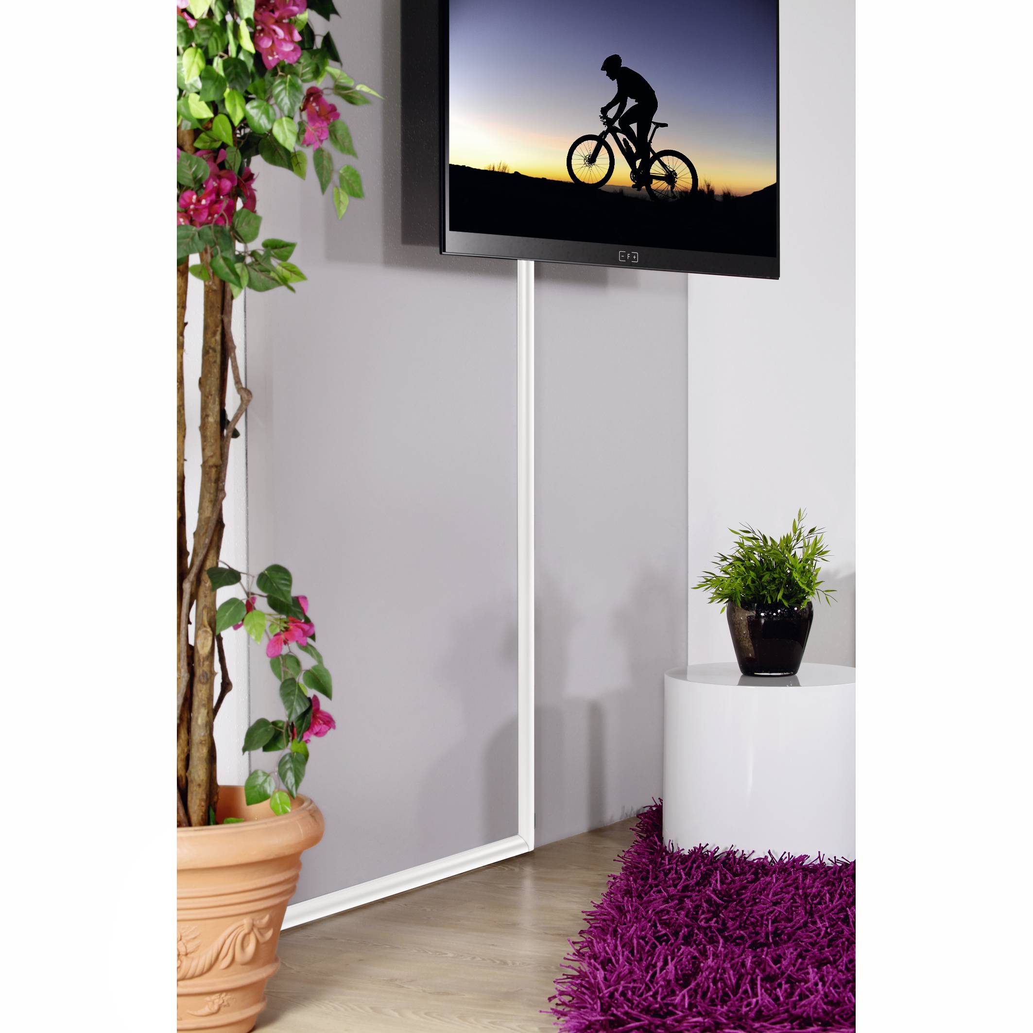 Pomieszczenie z kwitnącą kompozycją roślinną i obrazem rowerzysty o zachodzie słońca na ścianie.