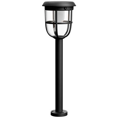 Czarna, nowoczesna lampa ogrodowa z przezroczystym, okrągłym kloszem, zamontowana na wysokiej, smukłej podstawie.