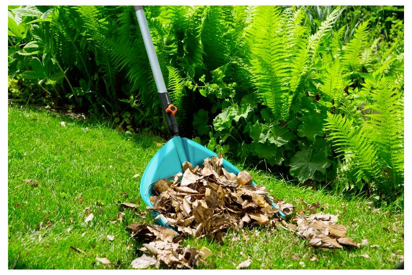Grabie oparte o bujne paprocie oraz stos brązowych liści na zielonej trawie, sugerujące jesienne prace w ogrodzie.