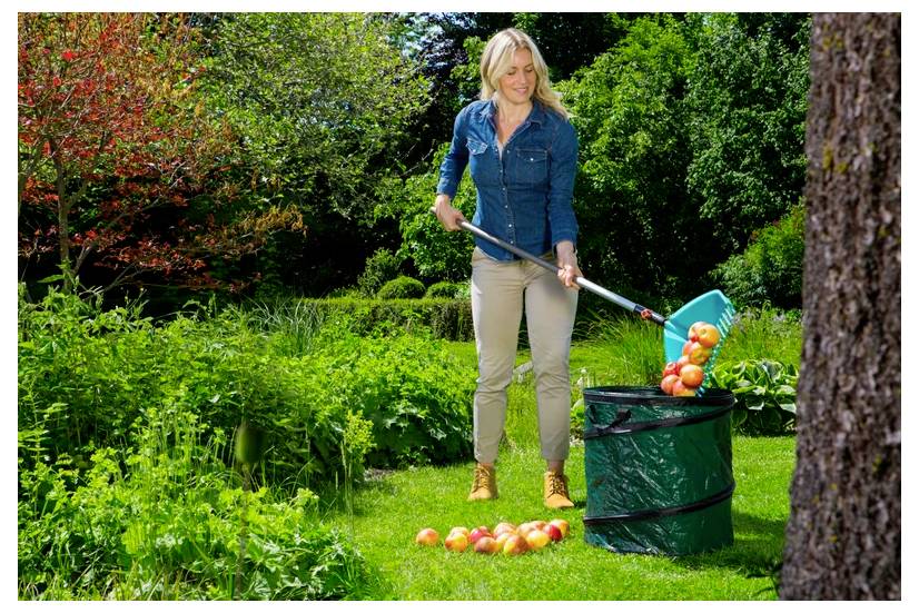 Osoba w swobodnym ubraniu, używająca narzędzia do zbierania jabłek na trawiastym trawniku, otoczona bujną zielenią i drzewami.