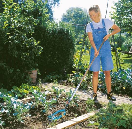 Osoba w jeansowych ogrodniczkach uprawia ogród, używając motyki do pielęgnacji grządki z zielonymi warzywami. Słońce i zieleń wypełniają tło.