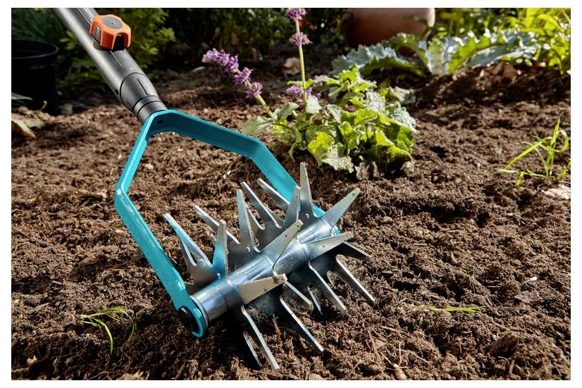 Narzędzie ogrodnicze z kolczastymi kółkami jest używane do napowietrzania gleby w grządce, otoczonej roślinami i światłem słonecznym.