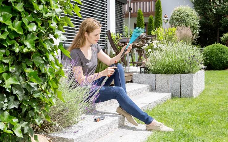 Kobieta siedzi na ogrodowych stopniach, przycinając lawendę nożycami ogrodowymi. Otaczają ją bujne zielone rośliny i zadbany trawnik.