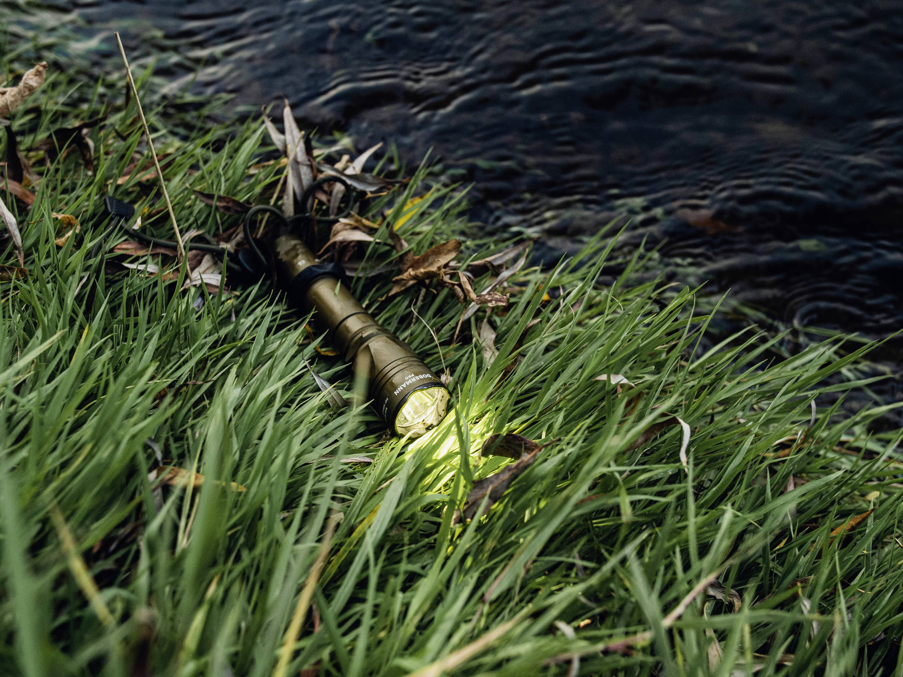 Latarka świeci w trawie nad brzegiem rzeki, otoczona liśćmi.