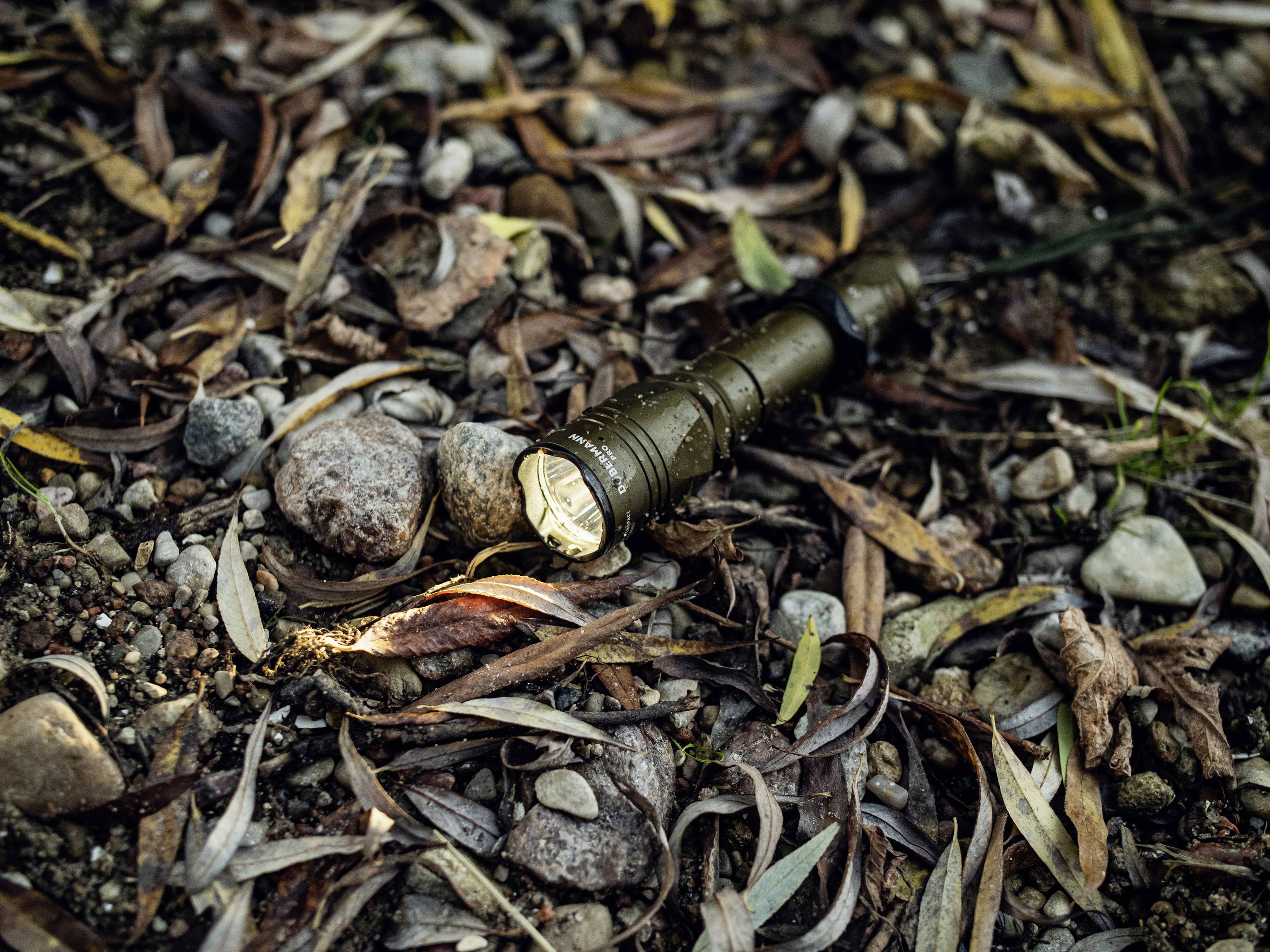 Latarka świeci na leśnej glebie pokrytej liśćmi i kamieniami. Snop światła wydobywa na pierwszy plan liście.