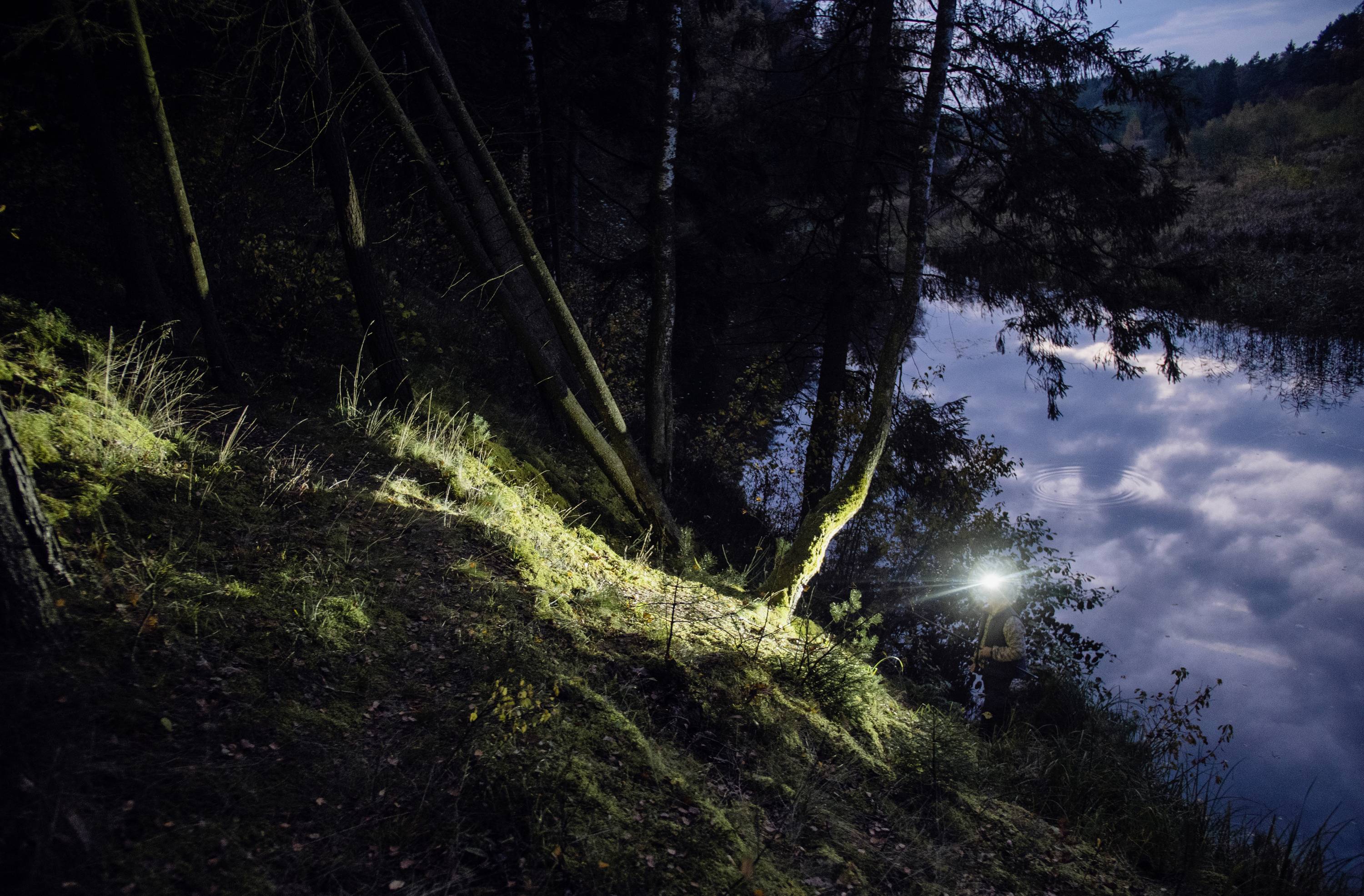 Leśna ścieżka o zmierzchu, oświetlona latarką. Drzewa pochylają się nad spokojnym, lustrzanym zbiornikiem wodnym.