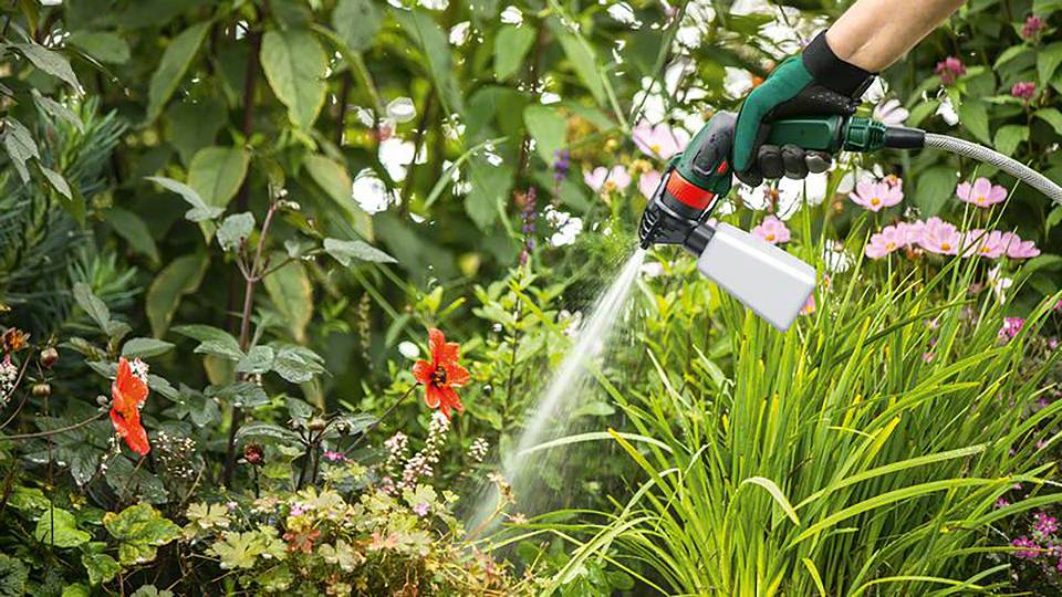 Dłoń w rękawiczkach ogrodowych podlewa kolorowe kwiaty w kwitnącym ogrodzie, otoczona zielenią liści.