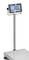 Cyfrowa waga platformowa z wyświetlaczem na słupku, wskazuje '0,000' kg. Odpowiednia do precyzyjnych pomiarów wagowych w magazynie lub przemyśle.